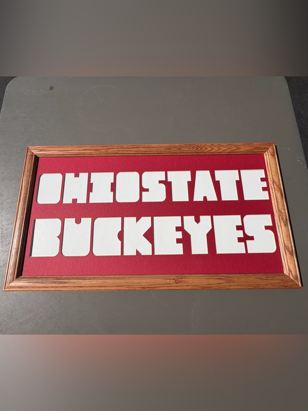 OHIO STATE BUCKEYES picture photo mat wood frame NO glass‎ 14x26